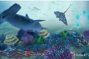 196体育经典版电脑免费版